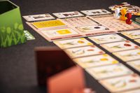 3906219 Tulip Bubble