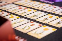 3906226 Tulip Bubble