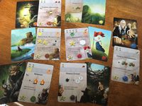 4341711 Dice Settlers