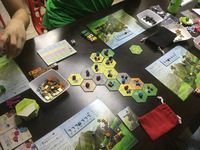 4408452 Dice Settlers