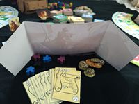 3798081 Dragon's Interest