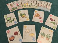 4052544 Herbalism