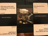 3670246 Action Cats!