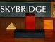 140905 Skybridge