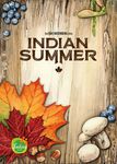 3749870 Indian Summer (Edizione Francese)