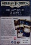 3715410 Arkham Horror: The Card Game – The Labyrinths of Lunacy Scenario Pack