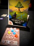 3992060 Mystery of the Temples