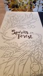 4324633 Spirits of the Forest - Kickstarter Limited Edition Autografata e con materiale extra