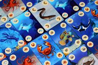 4334402 Mini DiverCity