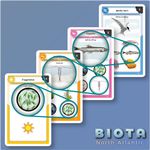 3787147 Biota: North Atlantic