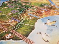 3793208 Roar: King of the Pride