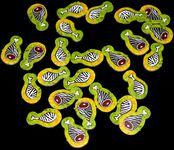 3961794 Roar: King of the Pride