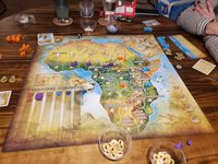 4574674 Roar: King of the Pride