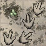 4203761 Night of Man: Kickstarter Expansions