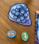 6505853 Starfish Kingdom