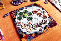 6525743 Starfish Kingdom