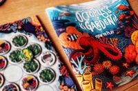 6525747 Starfish Kingdom