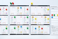 3864055 BOTANICAL LAB