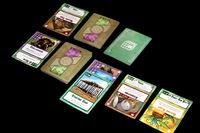 4199725 Outpost: Amazon