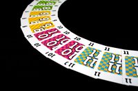 6202112 Krass Kariert