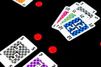 6202119 Krass Kariert