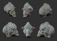 4007580 Champions of Nexum