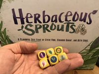 4140902 Herbaceous Sprouts