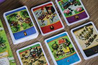 4326899 Imperial Settlers: Amazons