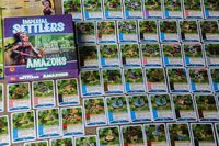 4326904 Imperial Settlers: Amazons