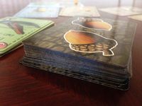 3980869 The Nut Game