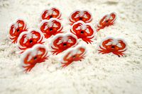 4224403 You've Got Crabs