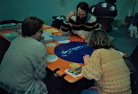 5270550 Sterneföifi