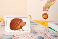 4467823 Concept Kids: Animali