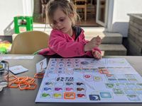 5310073 Concept Kids: Animali