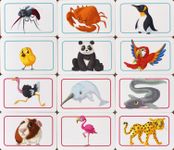6396025 Concept Kids: Animals
