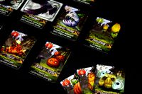 4209712 Pumpkin Patch: Bad Seeds