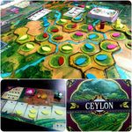 4462336 Ceylon
