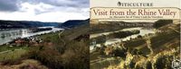 4076578 Viticulture: Visit from the Rhine Valley