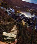 4649606 Viticulture: Visit from the Rhine Valley