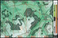 4622433 Devil Dogs: Belleau Wood 1918