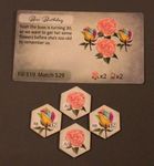 4760668 Rare Roses
