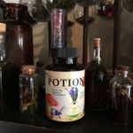 4673336 The Potion (Edizione Inglese)