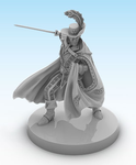 4477279 Sword &amp; Sorcery: Hero Pack – Ryld Chaotic Bard / Lawful Blademaster
