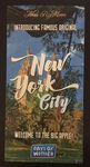 4196808 Ticket to Ride: New York (Edizione Scandinava)