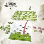 4149603 Spring Meadow (Edizione Inglese)