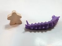 2004297 If Wishes Were Fishes!