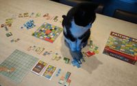 4668534 Patchwork: Automa