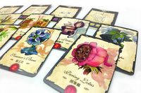 4329669 Mystical Seeds