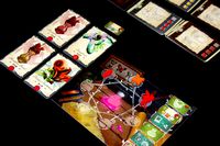 4345949 Mystical Seeds