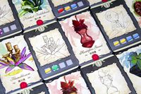 4345956 Mystical Seeds